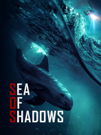 Sea of Shadows